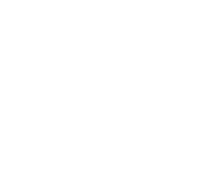 SSIP